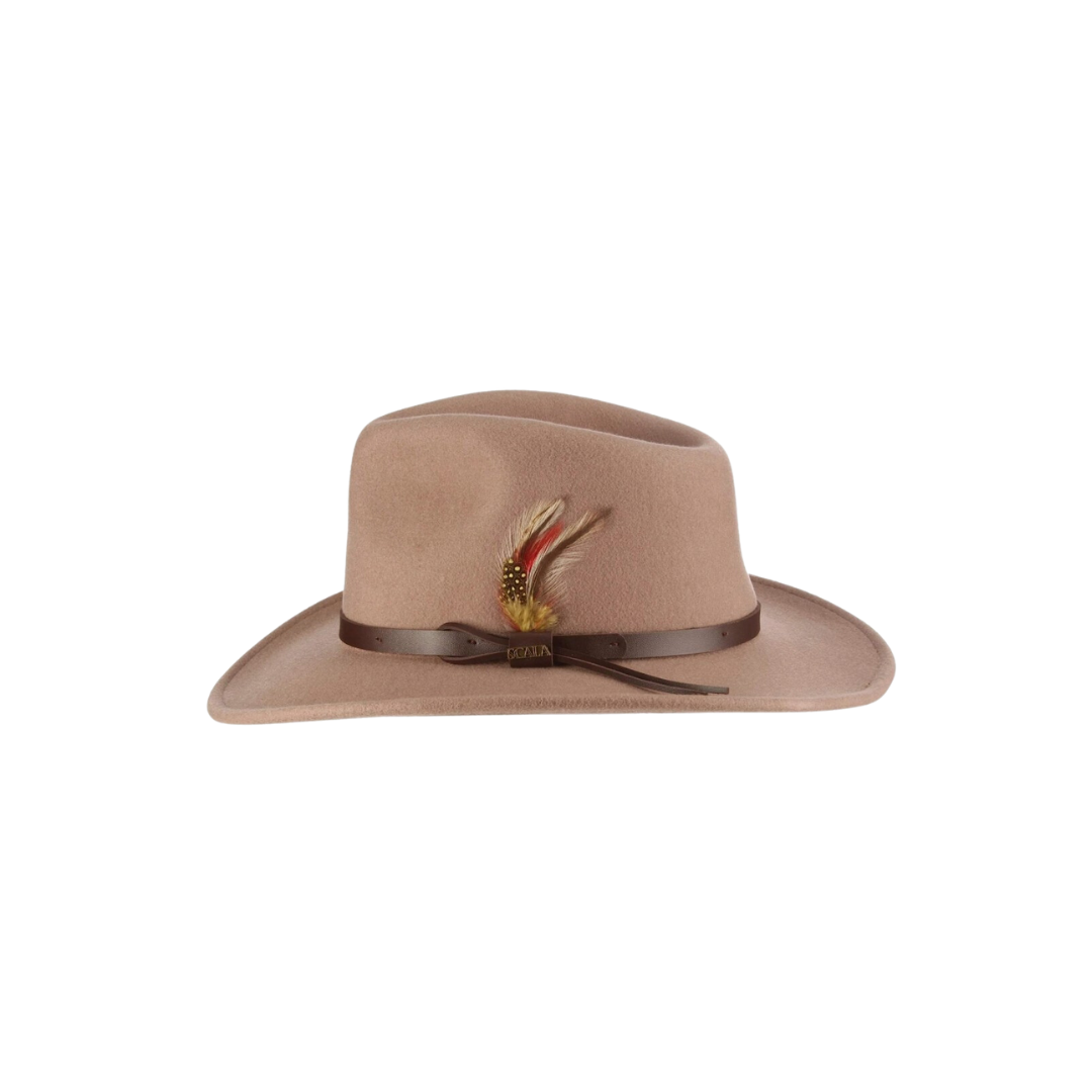 Tan Hat with feather