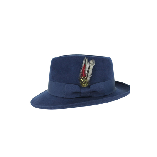 Blue Hat with Feather