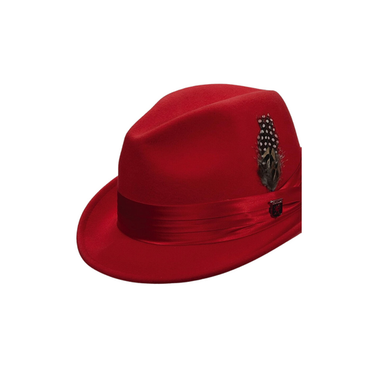 Red hat with feather